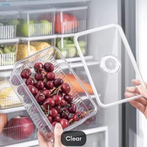 Premium Fridge Organizer Box (4 Pcs)